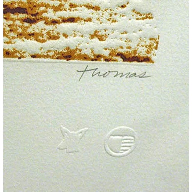 Impressionist Ted Thomas "Wildcat II" Signed Art Etching For Sale - Image 3 of 4