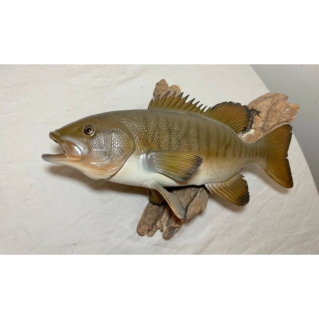 Figurative Vintage Handmade Eg Carved Wood Smallmouth Bass Wall Fish Mount Trophy Sculpture For Sale - Image 3 of 18