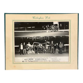 1973 Equestrian Harness Racing Rockingham Park New Hampshire Photograph For Sale