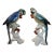 Rare Pair of Karl Ens Parrots For Sale