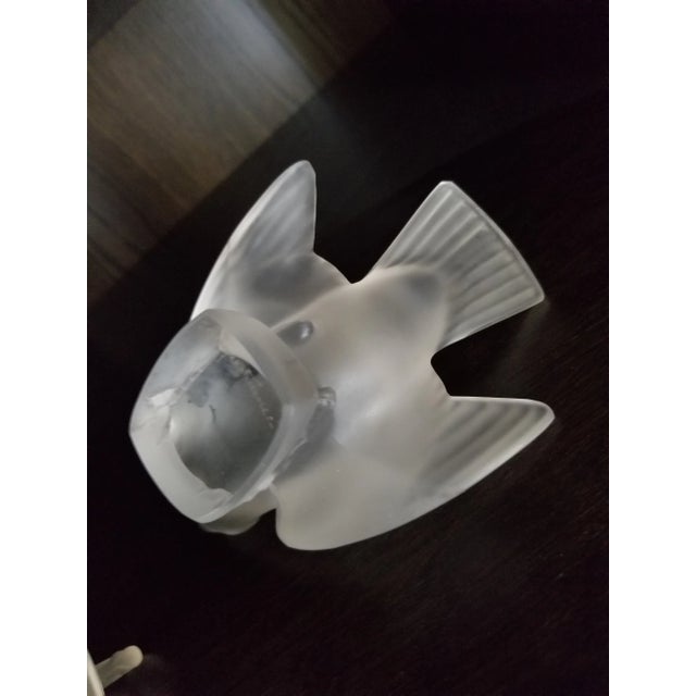 Two lalique bird themed items. A swan ring dish with original label still on it. A sparrow...5.5"deep 3.5" h 4"wide. The...