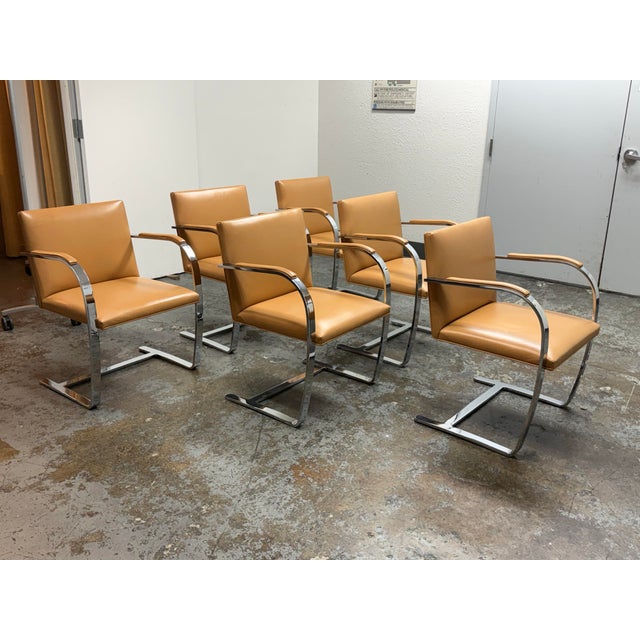 Mid-Century Modern Ludwig Mies Van Der Rohe for Knoll Brno Armchairs, Set of Six For Sale - Image 3 of 12