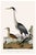 Great Heron & Roseate Spoonbill Diptych, Vintage Art Print Reproduction, 40" X 60" For Sale - Image 4 of 12