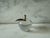Vintage blown glass paper weight in the shape of an apple with a brass tone stem and leaf.