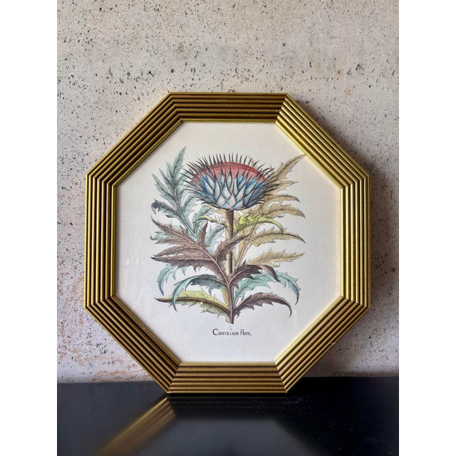 Pair of Vintage Italian Botanical Prints in Gilt Octagonal Frames, Made in Italy For Sale - Image 4 of 5