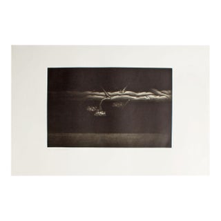 1979 “111th Landscape” Mezzotint Print by Kazuhisa Honda For Sale