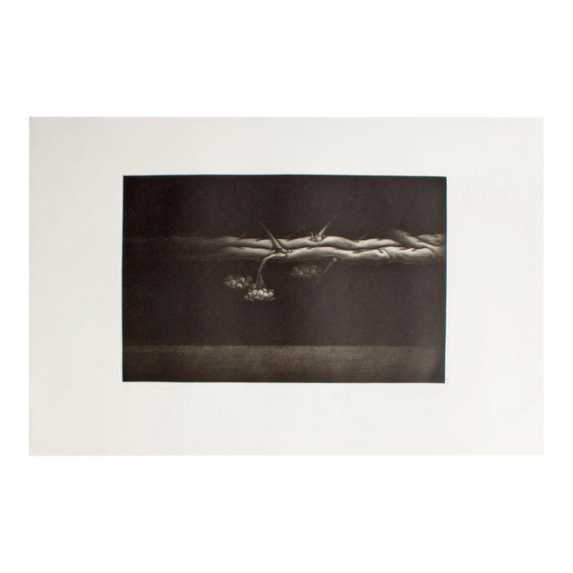1979 “111th Landscape” Mezzotint Print by Kazuhisa Honda For Sale