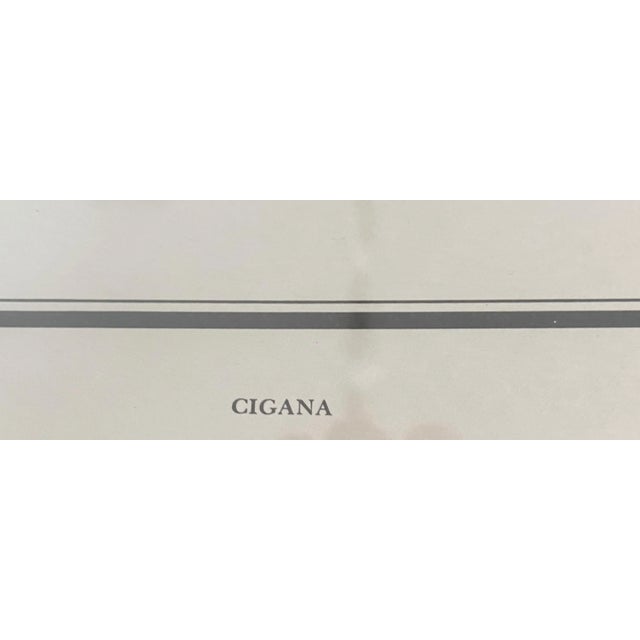 Vintage 19th C Alexander Rodrigues Ferreira Rugendas Print Framed For Sale In New York - Image 6 of 9