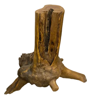 Andrianna Shamaris Organic Teak Wood Root Side Table
