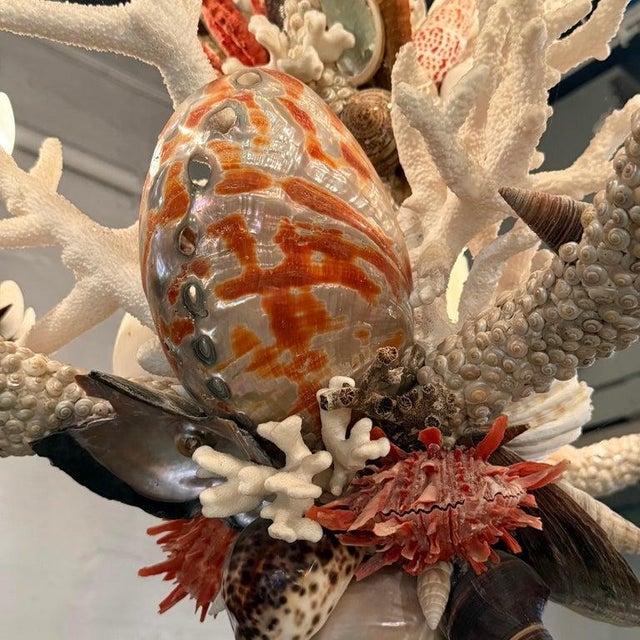 1990s 1990s Coastal Grand French Hand-Crafted Grotto Nautical Multi-Stem Coral Shell Chandelier For Sale - Image 5 of 16