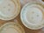 Pink Vintage Haviland Bavaria "Forever Spring" Dinner Plates - S/5 For Sale - Image 8 of 12