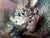 Ovidiu Kloska, Song for a Living Cloud, Mixed on Canvas, Framed For Sale - Image 9 of 10
