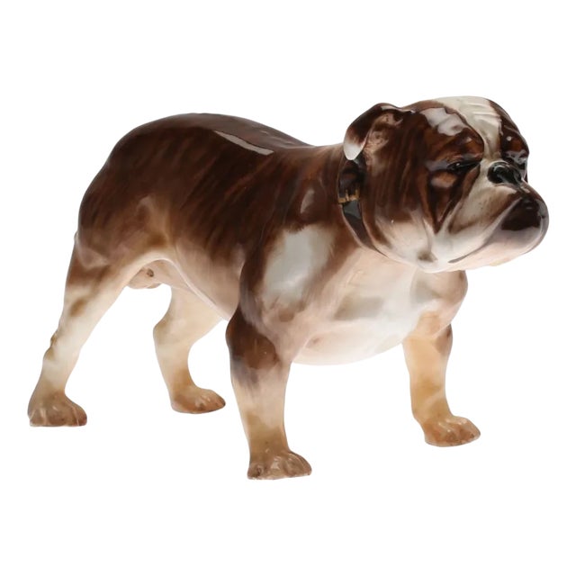 Bulldog from Royal Doulton For Sale