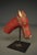 Wood 19th Century Polychrome Indian Horse Head For Sale - Image 7 of 10