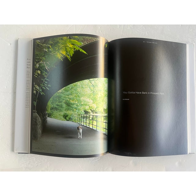 American The New York Dog, Rachael Hale McKenna, 2014, First Printing, Stewart, Tabori and Chang For Sale - Image 3 of 4