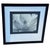 Imogen Cunningham's Iconic 1925 Black & White Photograph "Magnolia Blossom", Framed For Sale - Image 9 of 10
