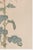 Not Yet Made - Made To Order Pink Floral Giclee, Vintage Japanese Botanical Art Print, 20" X 30" For Sale - Image 5 of 8