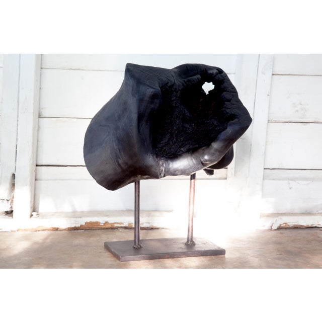 Wood Matka Yakisugi Abstract Modern Organic Sculpture For Sale - Image 7 of 10