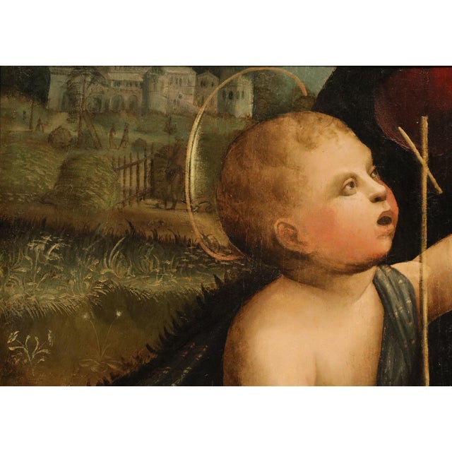 Workshop of Marco Palmezzano, Saint John the Baptist as a Child, 16th Century, Oil Painting on Panel For Sale - Image 3 of 15