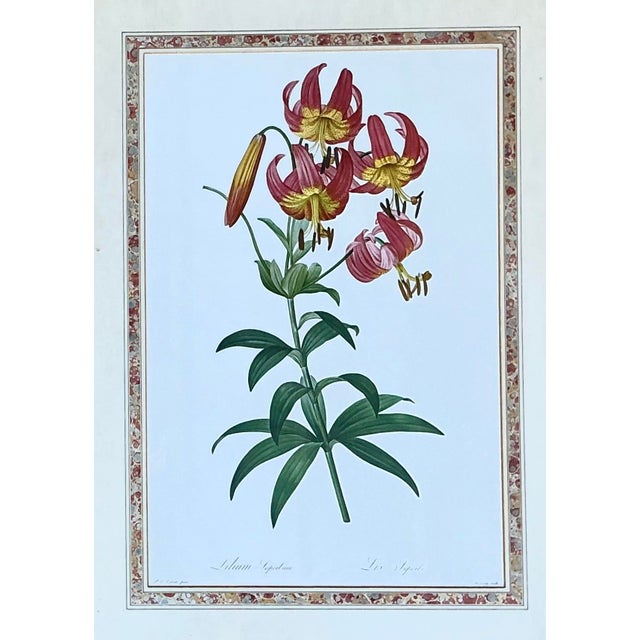 Vintage Ehret Botanical Prints - Set of 2 For Sale - Image 9 of 12
