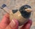 Modern Dissing Keramik Pottery Bird For Sale - Image 3 of 6