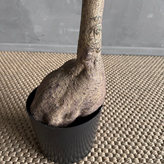 Green Realistic Bottle Tree 8′ For Sale - Image 8 of 9