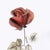 Metal Vintage Italian Handmade Sterling Silver 925 Long Stem Enameled Red Rose, Padua, Italy, 1970s For Sale - Image 7 of 18