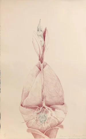 1970s Adrienne Anderson Color Litho