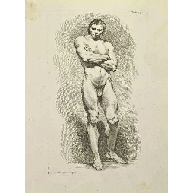 Nicholas Cochin, Anatomy Studies, Etching, 1755 For Sale