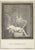 Ancient roman fresco from the series "antiquities of herculaneum", is an etching on paper realized by nicola vanni in the...