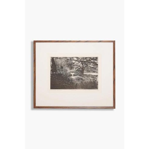 Framed etching on paper Signed and titled in pencil Artists Proof Image size: 200 x 300 mm