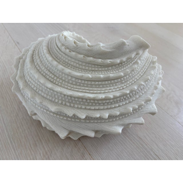 2000 - 2009 Large Vintage Beach Seashell Sculpture, White For Sale - Image 5 of 6