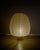 1960s Early Mid-Century Isamu Noguchi N21 Akari Floor Lamp by Ozeki & Co, Japan,1960s For Sale - Image 5 of 9