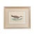 19th Century English Bird Engravings by Alexander Francis Lydon, Set 12 For Sale - Image 9 of 18