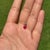 Metal Brilliant Cut Ruby Solitaire Pendant in 14k Yellow Gold For Sale - Image 7 of 12