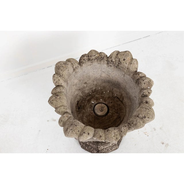 Acanthus Concrete Leaf Planter For Sale - Image 4 of 10