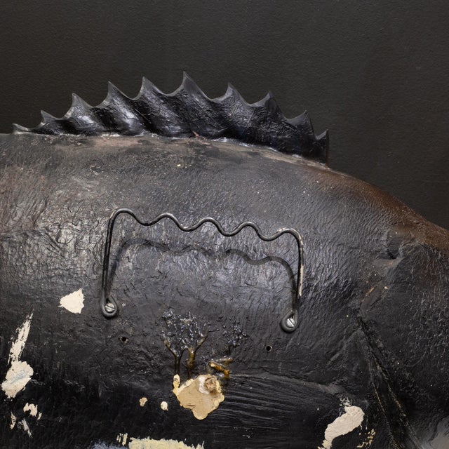 Large Vintage Taxidermy Fish c.1950-1970 For Sale In San Francisco - Image 6 of 7