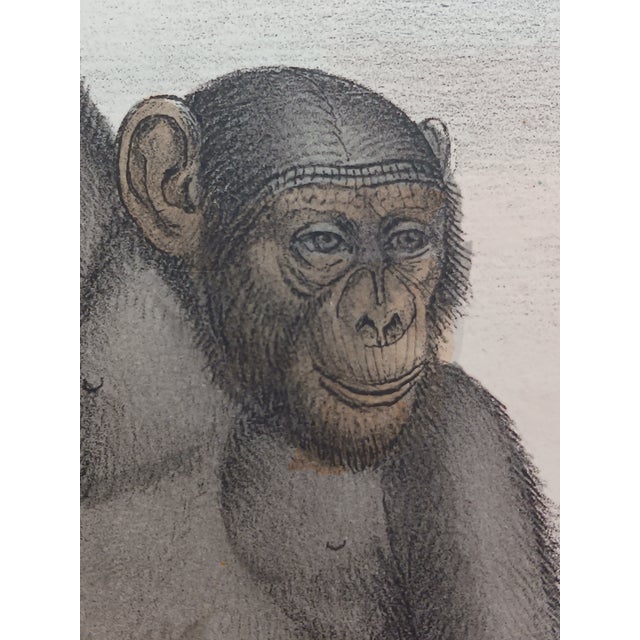 One of 6 Lithographs from my personal collection. The publisher was Raimondo Petraroja who owned a bookstore and...