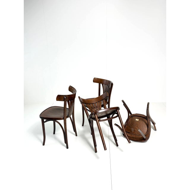 Vintage Bentwood Fan Chairs from ZPM Radomsko, Poland, 1970s For Sale - Image 4 of 18
