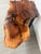 2020s Walnut Live Edge Wood Slab Side Table For Sale - Image 5 of 12