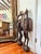 Early 20th Century West African Senufo-Style Sejen Carved Wood Hornbill Sculptures - Pair For Sale - Image 9 of 11