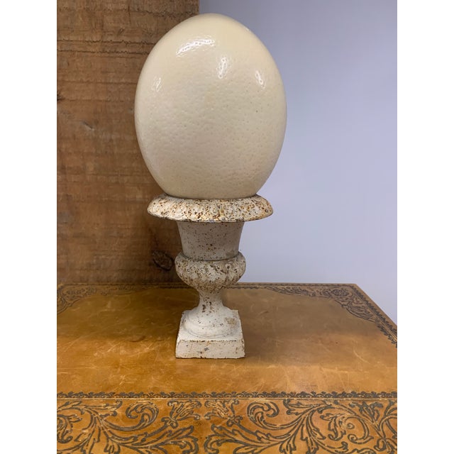 Petite Antique French Cast Iron Urn with Egg & Dart Detail. Minimal Rust Showing Through Original Paint.