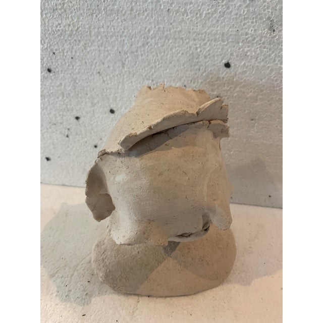 Female Bust in White Terracotta For Sale - Image 4 of 13