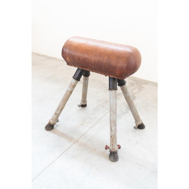 Gymnastics Horse in Leather and Metal, 1950s For Sale - Image 18 of 18