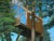 Contemporary "Tree House ~ Looking Up" Contemporary Large Painting by Stephen Remick For Sale - Image 3 of 10