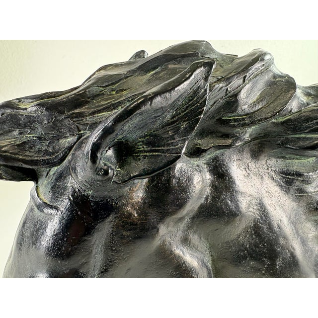 Figurative Mid-Century Vintage Equestrian Plaster Horse Bust For Sale - Image 3 of 10
