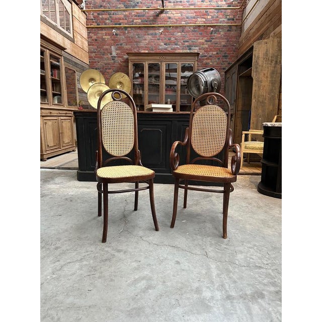 Wood Bentwood Chair N°17 from Thonet, 1960s For Sale - Image 7 of 9