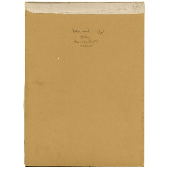 Drawing/Sketching Materials William Neave Parker, Ducks Bird, Mid-20th Century, Gouache Painting For Sale - Image 7 of 9