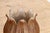 Indian 9" Blossoming Lotus Marble Vase For Sale - Image 3 of 8