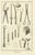 Beige Antonio Baratti, Forceps and Bladed Instruments, Diderot Surgery Plate Xxiii, 1772, Engraving For Sale - Image 8 of 8